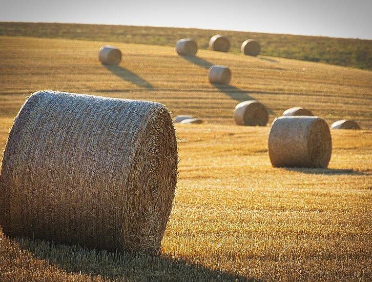 Elections à la chambre d'agriculture d'Île-de-France