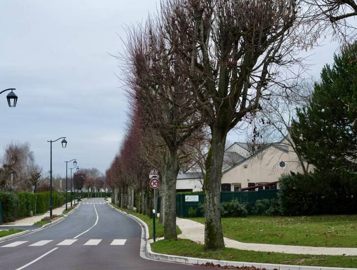 LANCEMENT DE LA CAMPAGNE D’ÉLAGAGE DES ARBRES DE LA COMMUNE